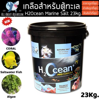 H2Ocean Aquarium MarineSalt เกลือสำหรับตู้ทะเล (23kg) ล็อตใหม่ล่าสุด เกลือทำน้ำทะเล เกลือคุณภาพสูงจากยุโรป ทำน้ำได้700L.