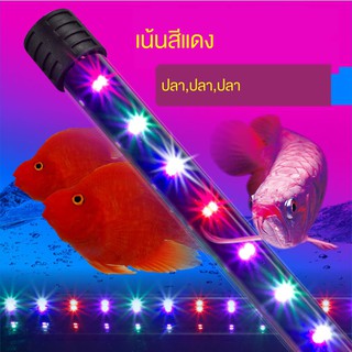 ภาพหน้าปกสินค้าหลอด led☂ไฟตู้ปลานำการตกแต่งภูมิทัศน์กันน้ำโคมไฟประหยัดพลังงานขนาดเล็ก Zeng Yan สามสีหลักดำน้ำแสงไฟน้ำ ที่เกี่ยวข้อง