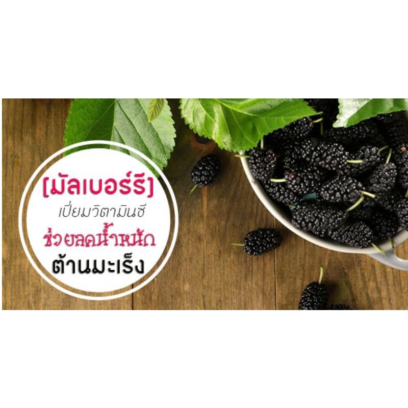 น้ำมัลเบอร์รี่-สกัดเข้มข้น-100