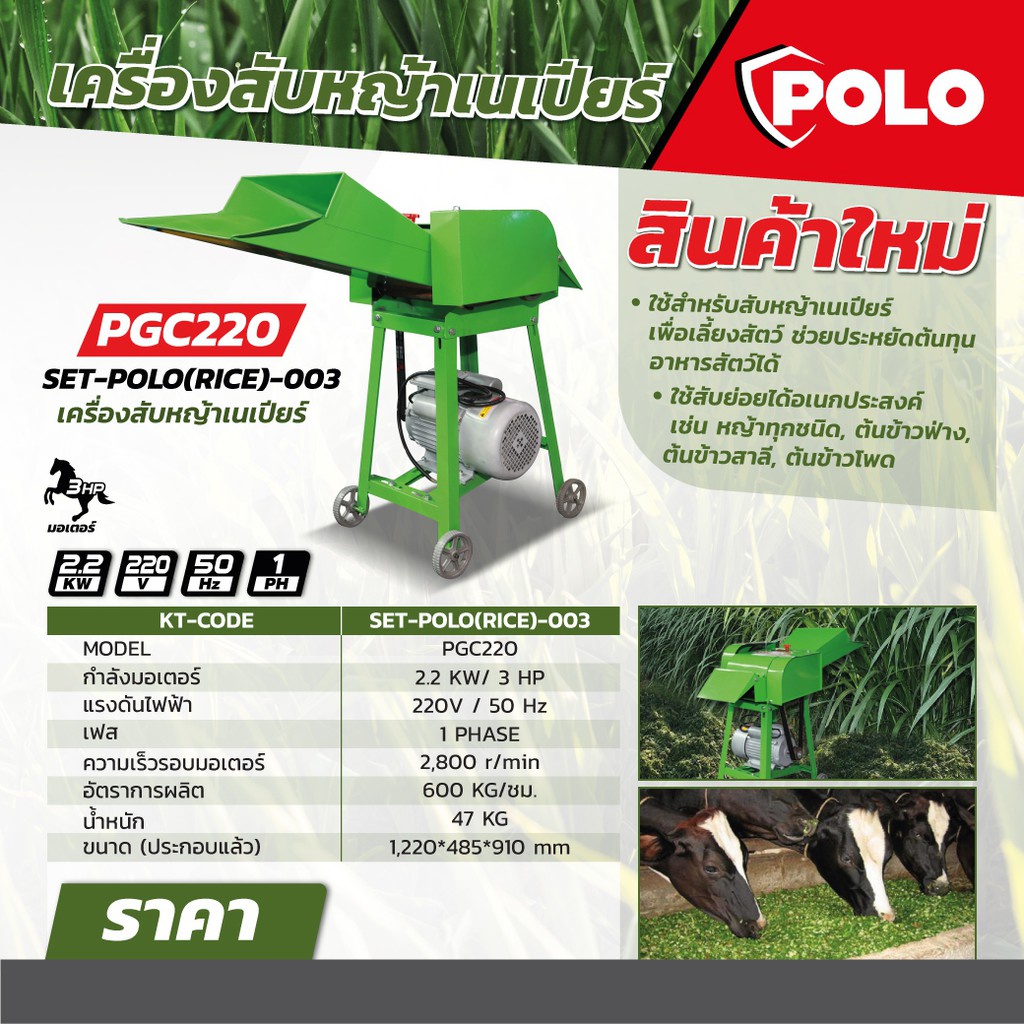 polo-เครื่องสับหญ้าเนเปียร์-รุ่น-pgc-220