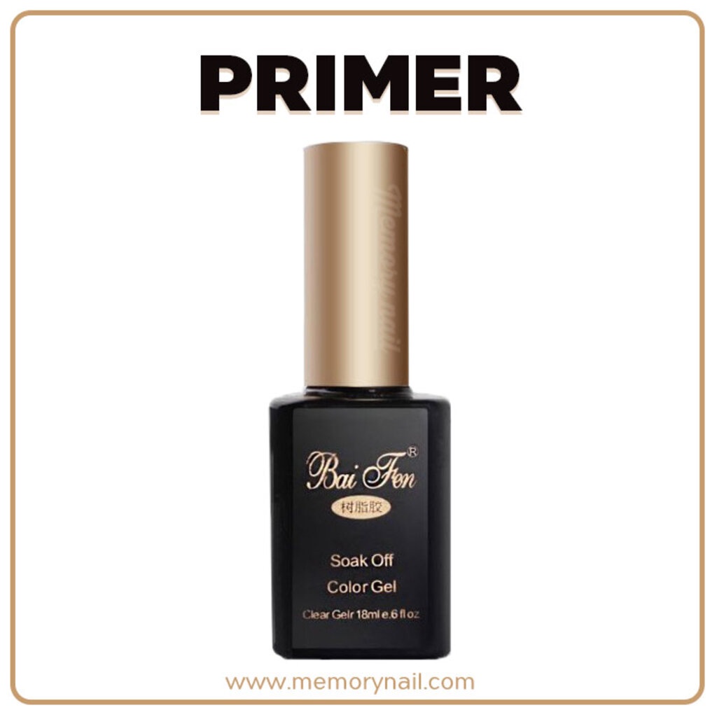 ใบเฟิร์น TOP,BASE,PRIMER,PH,MATTE เลือกด้านใน V.2 | Shopee Thailand