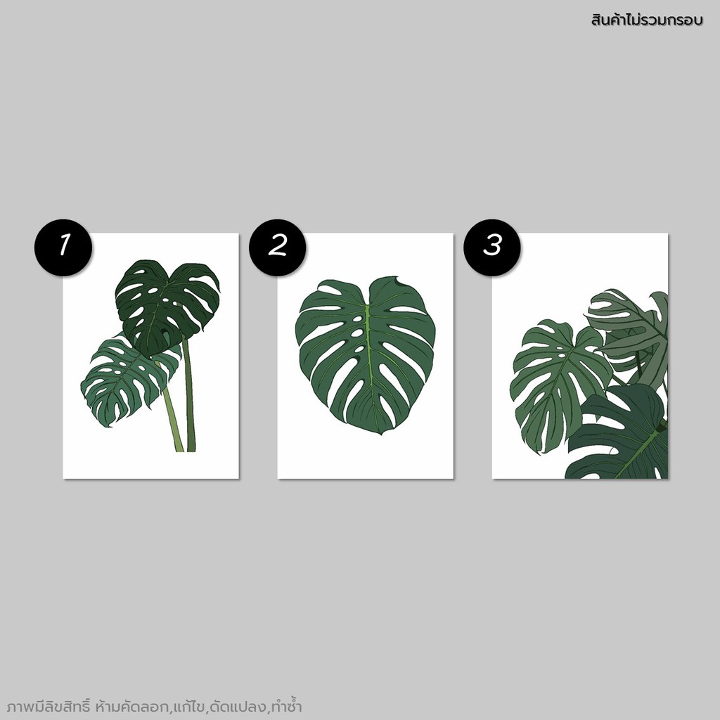 ภาพวาด-ภาพตกแต่ง-รูปตกแต่ง-monstera-มอนสเตอร่า-ใบไม้-กราฟฟิก-กระดาษ100ปอนด์-a3-a4-a5-ภาพพิมพ์-ตกแต่งผนัง