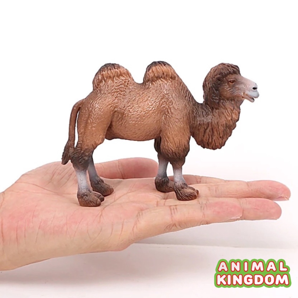 animal-kingdom-โมเดลสัตว์-อูฐ-สองหนอก-น้ำตาล-ขนาด-12-00-cm-จากหาดใหญ่