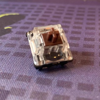 ภาพหน้าปกสินค้า[Lubed] [Tactile] Gateron Optical Brown SWITCHES สวิทช์สำหรับ Optical Keyboards ซึ่งคุณอาจชอบราคาและรีวิวของสินค้านี้