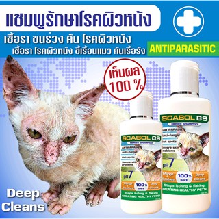 ✅แชมพูอาบน้ำSCABOL 89 (สูตรสำหรับแมว) เชื้อรา ขนร่วง ผื่นแดง ตกสะเก็ด คันเรื้อรัง โรคผิวหนัง