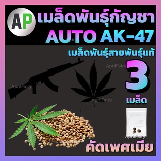 ♀️คัดเพศเมีย เมล็ดกัญชา เมล็ดพันธุ์กัญชา AK-47 โฟโต้ / ออโต้ Auto / Photo เมล็ดสายพันธุ์แท้💯% บรีดไทย