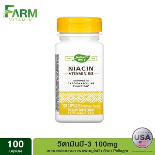 Natures Way, Niacin, Vitamin B3, 100 mg, 100 Capsules, วิตามินบี 3