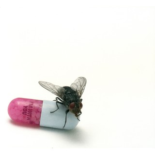 ซีดีเพลง CD Red Hot Chili Peppers 2011 - Im With You,ในราคาพิเศษสุดเพียง159บาท