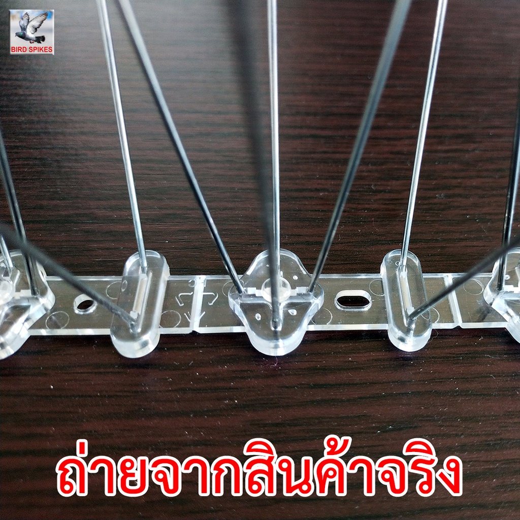 จัดโปร-11-11-cashback-หนามกันนก-หนามไล่นก-รุ่นพิเศษ-จัดเต็ม-เข็มเต็มทุกช่อง-64-เส้น