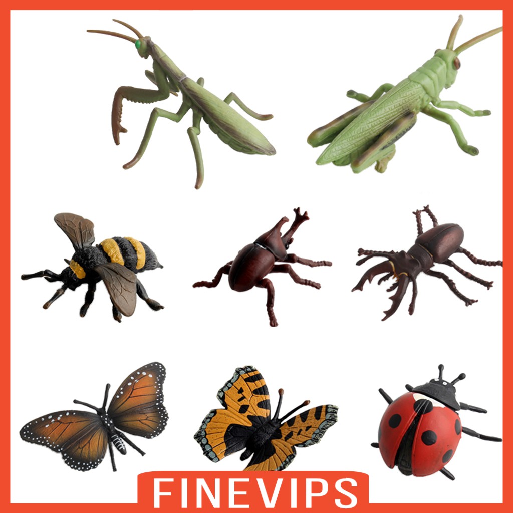 finevips-ของเล่นโมเดลแมลงพลาสติก-8-ชิ้นช่วยเสริมการเรียนรู้เด็ก