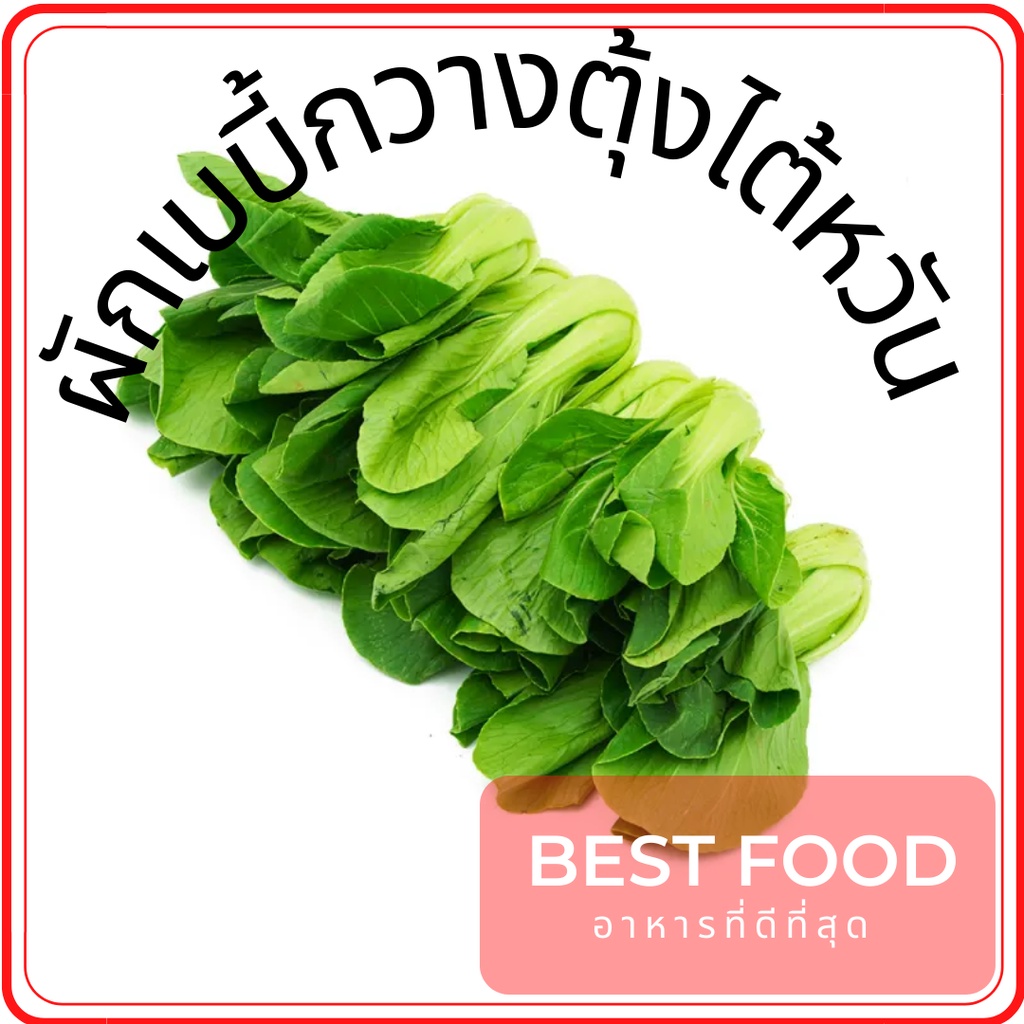 กวางตุ้งไต้หวัน-ผักสด-ราคาถูก