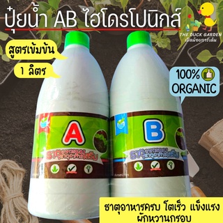 ปุ๋ย AB 1 ลิตร ปุ๋ยผักสลัด ไฮโดรโปนิกส์ ของแท้ ธาตุอาหารครบ ผักสด หวานกรอบ แข็งแรง