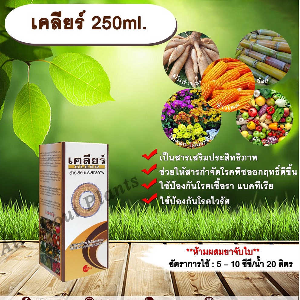 เคลียร์-250ml-สารเสริมประสิทธิภาพ-ช่วยให้สารกำจัดโรคพืชมีประสิทธิภาพมากขึ้น-ป้องกันเชื้อรา-แบคทีเรีย-ไวรัส-ขัดผิวผลผลิต