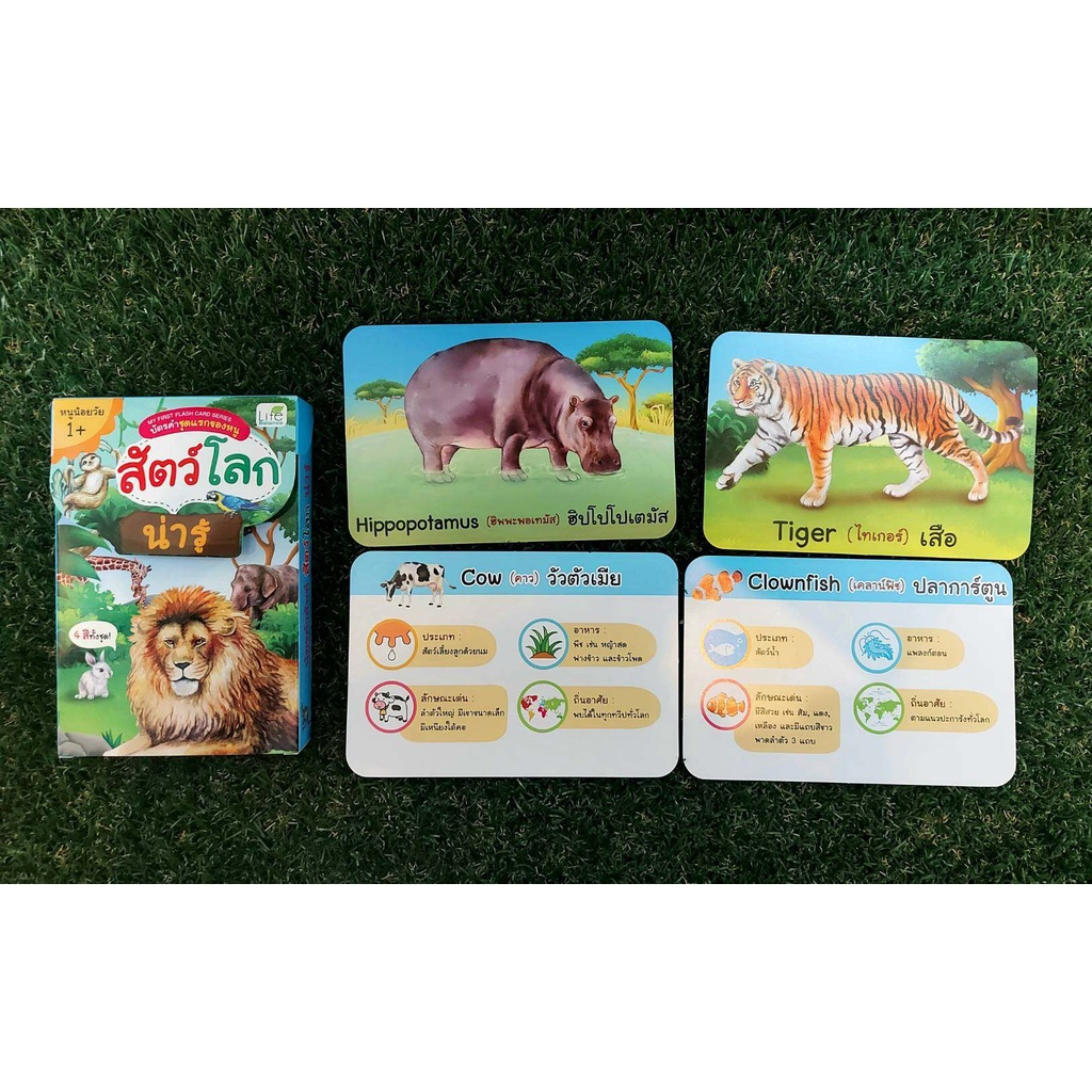 (INSPAL) หนังสือ My First Flash Card series บัตรคำชุดแรกของหนู สัตว์โลก ...