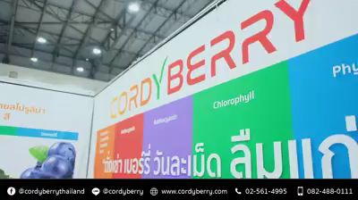 ถั่งเช่า-cordy-berry-1-กระปุก-แถมฟรี-2-แผง