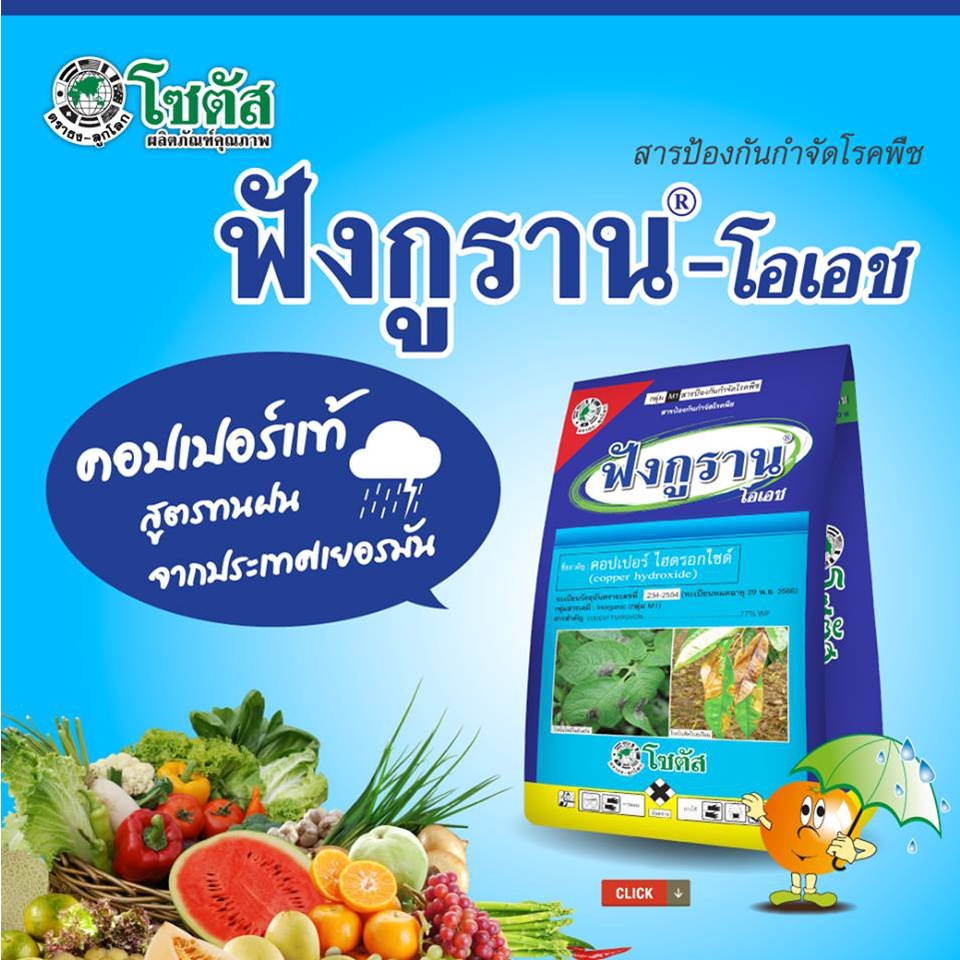 ฟังกูราน-โอเอช-สูตรทนฝน-ขนาด-100-กรัม