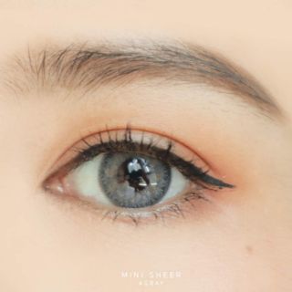 mini Sheer Gray (1)(2) แบรนด์ Kitty Kawaii คอนแทคเลนส์ มินิ Contact Lens  สายตาปกติ สายตาสั้น แฟชั่น ค่าสายตา ขอบฟุ้ง