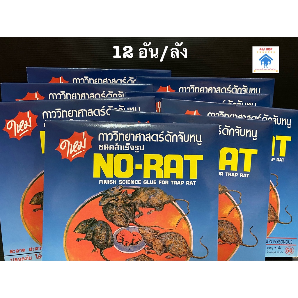 กาววิทยาศาสตร์ดักจับหนู-ชนิดสำเร็จรูป-no-rat-ยกลัง-12กล่อง-กาวดักหนู-กำจัดหนู