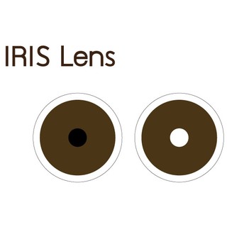 IRIS LENS คอนแทคเลนส์รักษาตา สีน้ำตาลเข้ม (6 pcs.) รายเดือน