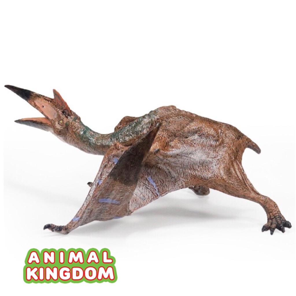 animal-kingdom-โมเดลไดโนเสาร์-hatzegopteryx-ขนาด-19-00-cm-จากหาดใหญ่