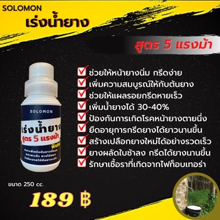 เร่งน้ำยาง สูตร 5 แรงม้า พิเศษ หน้ายางนิ่ม กรีดง่าย เพิ่มน้ำยางได้ 30-40% เหมาะสำหรับยางที่หมดสภาพแล้ว ยางไม่ออก