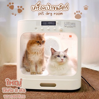 pet grooming dryer ตู้เป่าขนแมว เครื่องเป่าสัตว์เลี้ยง ตู้อบแมว ไดร์เป่าผมสำหรับสุนัข ไดร์เป่าผมสำหรับสัตว์เลี้ยง