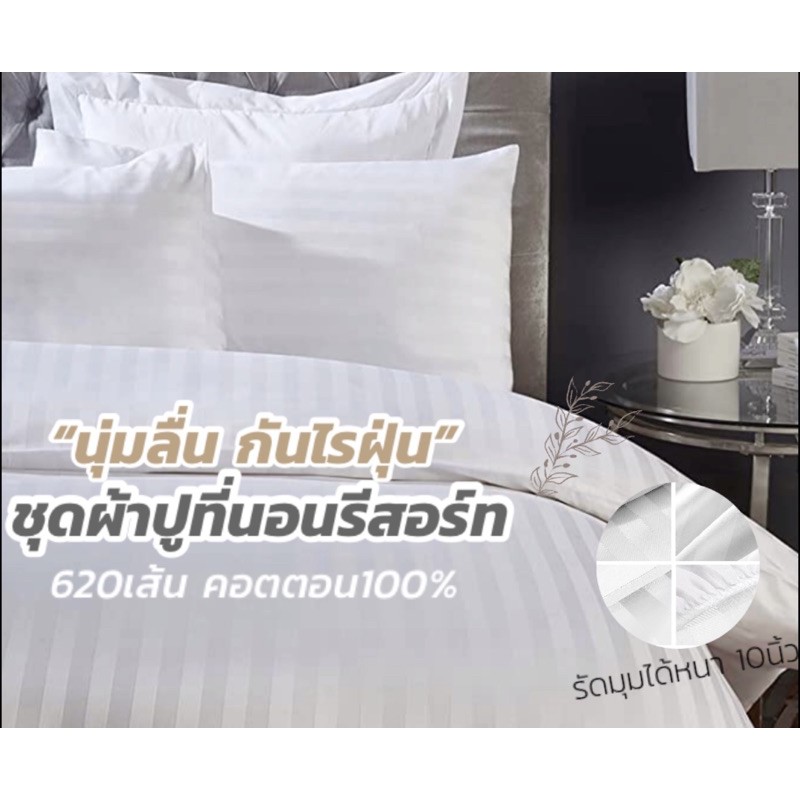 ผ้าปูที่นอนโรงแรม5ดาว-ลายริ้ว-620เส้น-กันไรฝุ่น-นุ่มลื่น-cotton-100