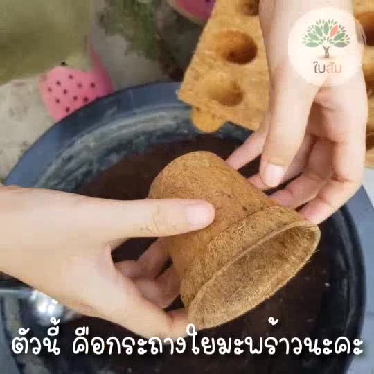 กระถางใยมะพร้าว-ร้านใบส้ม