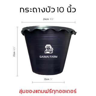 🪷 กระถางบัว (ไม่มีรู) ราคาส่ง 10 นิ้ว | Lotus pot (no holes) Wholesale price 10 inches