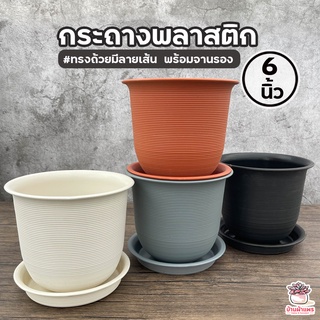 กระถางพลาสติก 6 นิ้ว #ทรงถ้วยมีลายเส้นพร้อมจานรอง กระถางพลาสติก กระถางแคคตัส กระถางกระบองเพชร