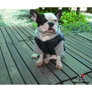 สินค้า Pet cloths-Fatdog-Doggydolly   ชุดหมาอ้วน  เฟร้น ปั๊ก บีเกิ้ล บลูด็อก เสื้อผ้าสุนัข เสื้อหมา หมาอวบ ชุดกันหนาว  FP-W109