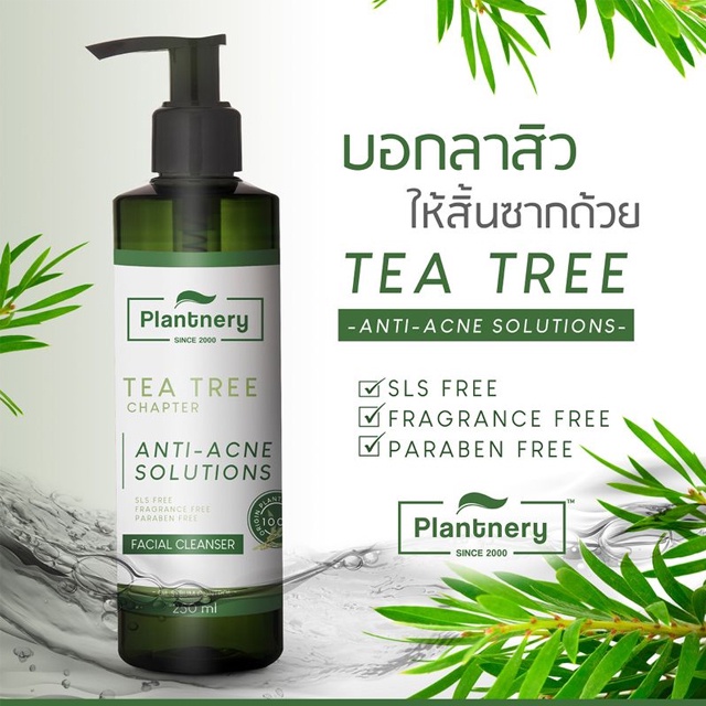 plantnery-tea-tree-facial-cleanser-เจลล้างหน้า-ที-ทรี-สูตรลดสิว-ควบคุมความมัน-บอกลาปัญหาสิว-ขนาด-250-ml