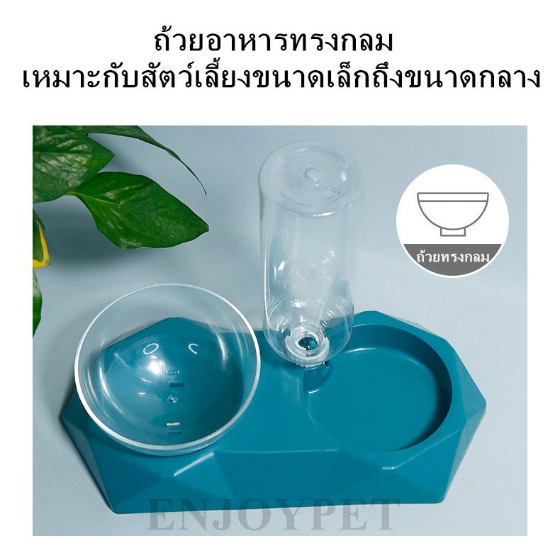 เครื่องให้อาหารสุนัขและแมว-เครื่องให้น้ำอัตโนมัติ