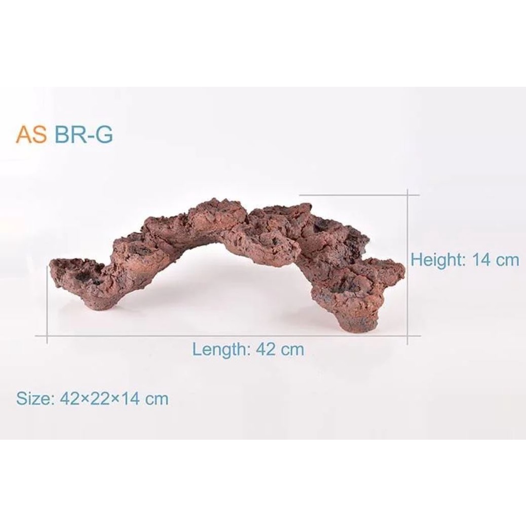 As Bio Active Rock / BR-G | Shopee Thailand