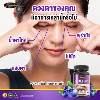 บำรุงและถนอมสายตาด้วย Bilberry 10000mg Auswelllife  มี