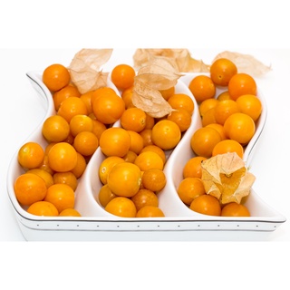 เคพกูสเบอร์รี่ Cape Gooseberry เมล็ดพันธุ์