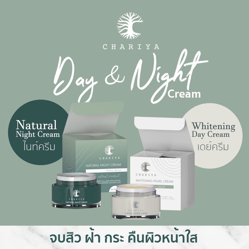 ส่งฟรี-ชาริยา-เซตรักษาฝ้า-รักษาสิว-รอยดำรอยแดงจางลง-ครีมชาริยา-เซรั่มแพลงก์ตอน