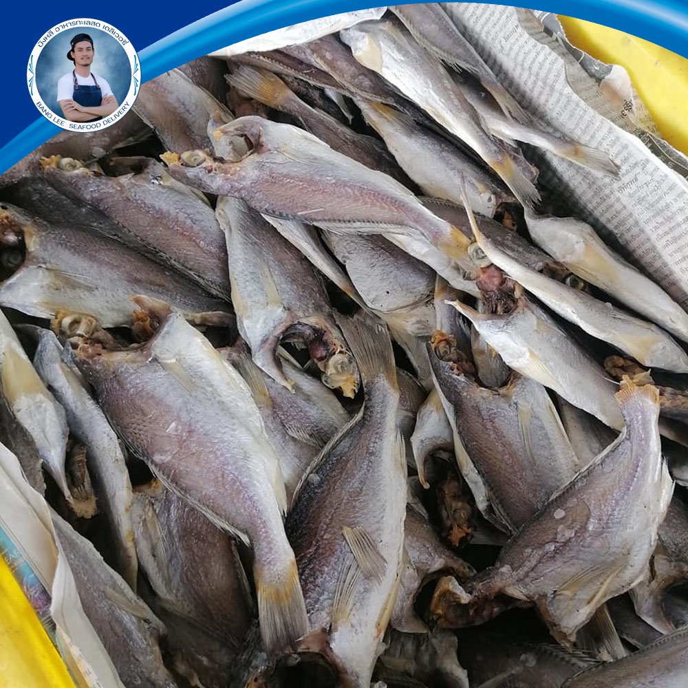ภาพหน้าปกสินค้าปลาจวดเค็ม ปลาเค็มออแกนิก จาก จ.สตูล