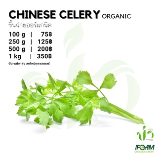 สินค้า ขึ้นฉ่ายออร์แกนิค Organic Chinese Celery มาตรฐานออร์แกนิค IFOAM ผักสลัด ผักสด เก็บ-แพ็ค-ส่ง เก็บใหม่ทุกออเดอ