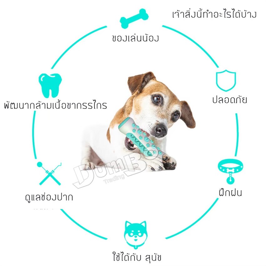 ส่งทั่วประเทศไทยของเล่นสุนัข-ของเล่น-ของเล่นกัดแทะ-ของเล่นหมา-ลูกบอลยาง-ของเล่นสัตว์เลี้ยง-ของเล่นน้องหมา