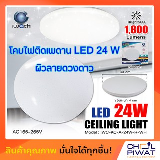 โคมไฟซาลาเปาติดเพดานทรงกลมLED โคมไฟติดเพดาน LED 24 วัตต์ IWACHI แสงสีขาว DAYLIGHT (ผิวลายดวงดาว) โคมไฟ LED ทรงกลม