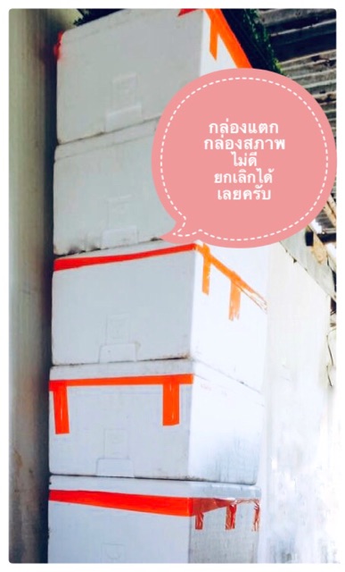 ภาพสินค้ากล่องโฟม 25 kg มือ 2 สภาพดี จากร้าน nataphonpochai บน Shopee ภาพที่ 2