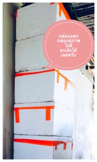 ภาพขนาดย่อของภาพหน้าปกสินค้ากล่องโฟม 25 kg มือ 2 สภาพดี จากร้าน nataphonpochai บน Shopee ภาพที่ 2