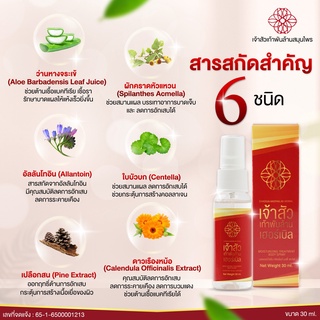 ภาพขนาดย่อของภาพหน้าปกสินค้า️ส่งฟรี️ เซ็ท SET เจ้าสัวสมุนไพรริดสีดวง ยาเบาเทาริดสีดวง สเปรย์เจ้าสัวเก้าพันล้านเฮอร์เบิล ชุด ลดปวด เบาเทาอักเสบ จากร้าน betterchoice17 บน Shopee ภาพที่ 3