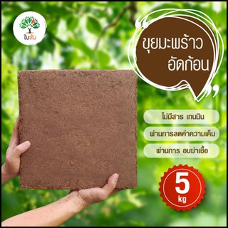 ขุยมะพร้าวอัดก้อน ขนาด 5 กก. (ร้านใบส้ม)