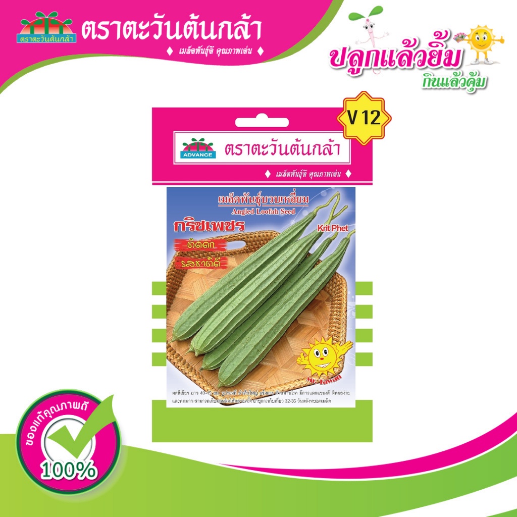 เมล็ดบวบ-กริชเพรช-ตราตะวันต้นกล้า