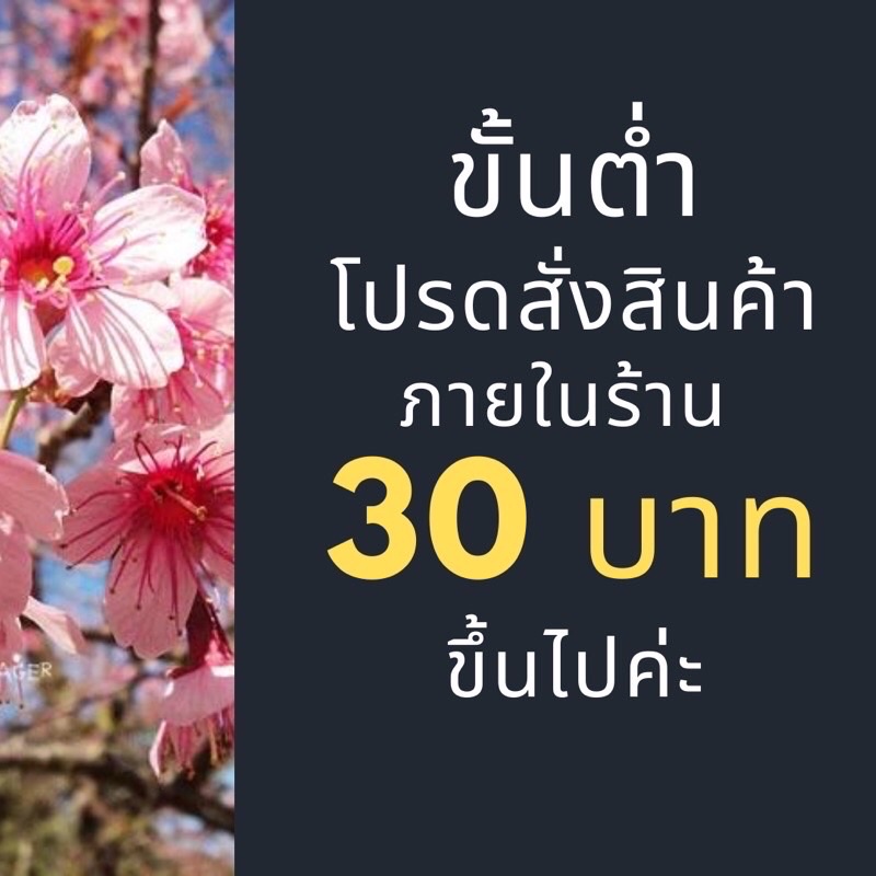 เมล็ดพันธุ์ต้นจามจุรี-5เมล็ด-ขั้นต่ำโปรดสั่งสินค้าภายในร้าน30บาทขึ้นไปค่ะ