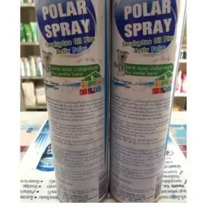 ภาพหน้าปกสินค้าPolar Spray Eucalyptus Oil Plus โพลาร์ สเปรย์ ยูคาลิปตัส (280ml.) กระป๋องใหญ่ จากร้าน nongrx บน Shopee