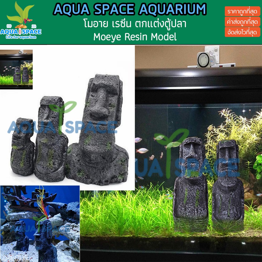 aqua-space-moeye-resin-ของตกแต่งตู้ปลา-ไม่ทิ้งสารเคมีตกค้าง-ตกแต่ได้ทั้งตู้ปลาน้ำจืดและตู้ปลาทะเล