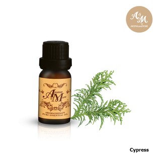 Aroma&amp;More CYPRESS Essential Oil 100% น้ำมันหอมระเหย สนไซเพรส 100% ฝรั่งเศส / France 10/30ML